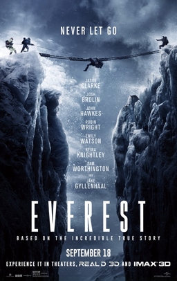 Fly Away Home-style aviation dramas — no wait, Fate is the Hunter revival aside: Everest (2015) honorable crossover mention
